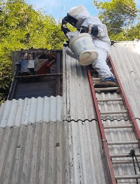 Apicultor da Arbolia com roupa de proteção retirando uma colmeia do alto de um telhado