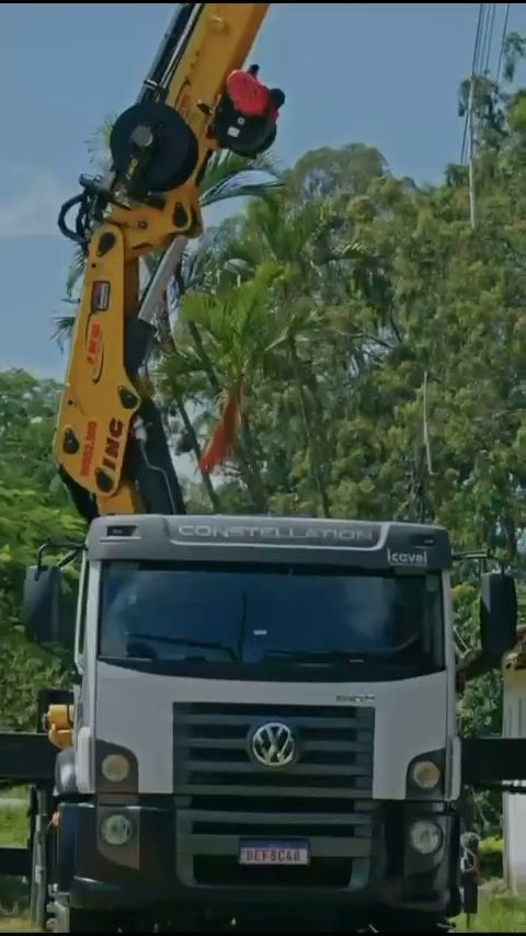 Supressão de árvore com caminhão guindaste